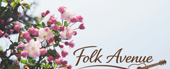 Folk Avenue - Animation musicale