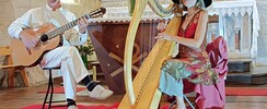 Aveline - Le petit conservatoire de la harpe.