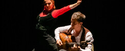 Vuelo Flamenco - Caroline Pastor