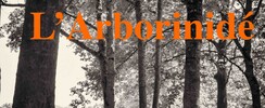 Collectif AiÔn - L'Arborinidé