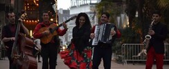 ROM SUCAR - Spectacle de musique tsigane
