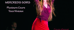 Peña Estrella - Cours hebdomadaires de danse flamenco