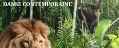 Roselyne Louisor Groupe Art's - Incursion dans le monde animal