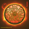 electro intemporelle et progressive recherche une collab