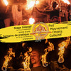 Stage feu, mouvement, objets et collectif d'Automne 2026